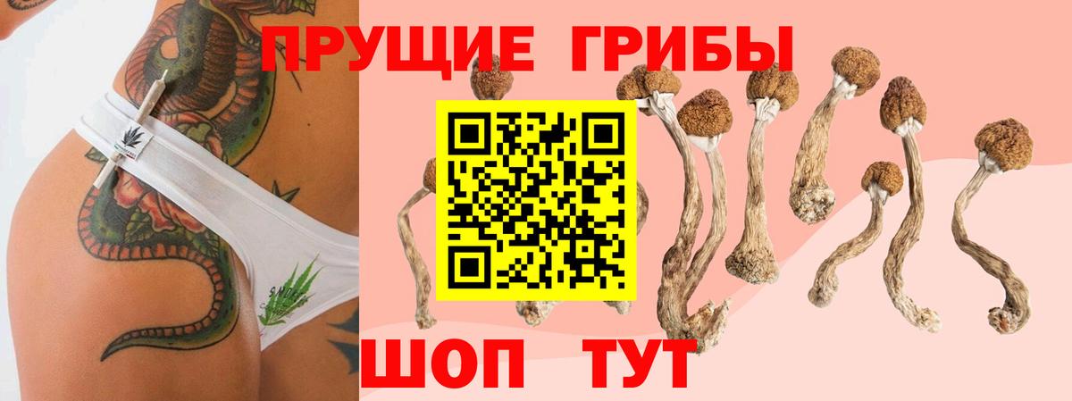 Галлюциногенные грибы прущие грибы Наро-Фоминск